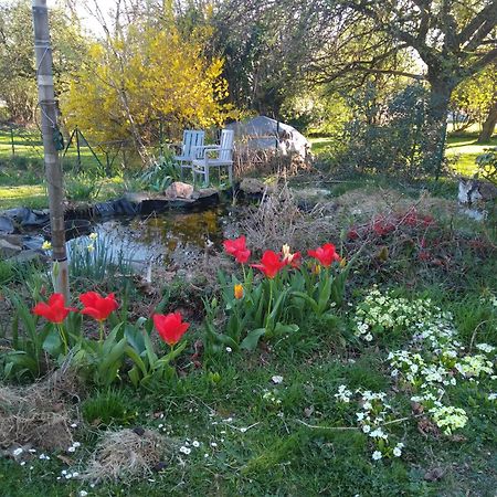 Вилла Dinant La Bergeronnette Avec La Chaleur Du Feu De Bois Et Le Jardin Номер фото