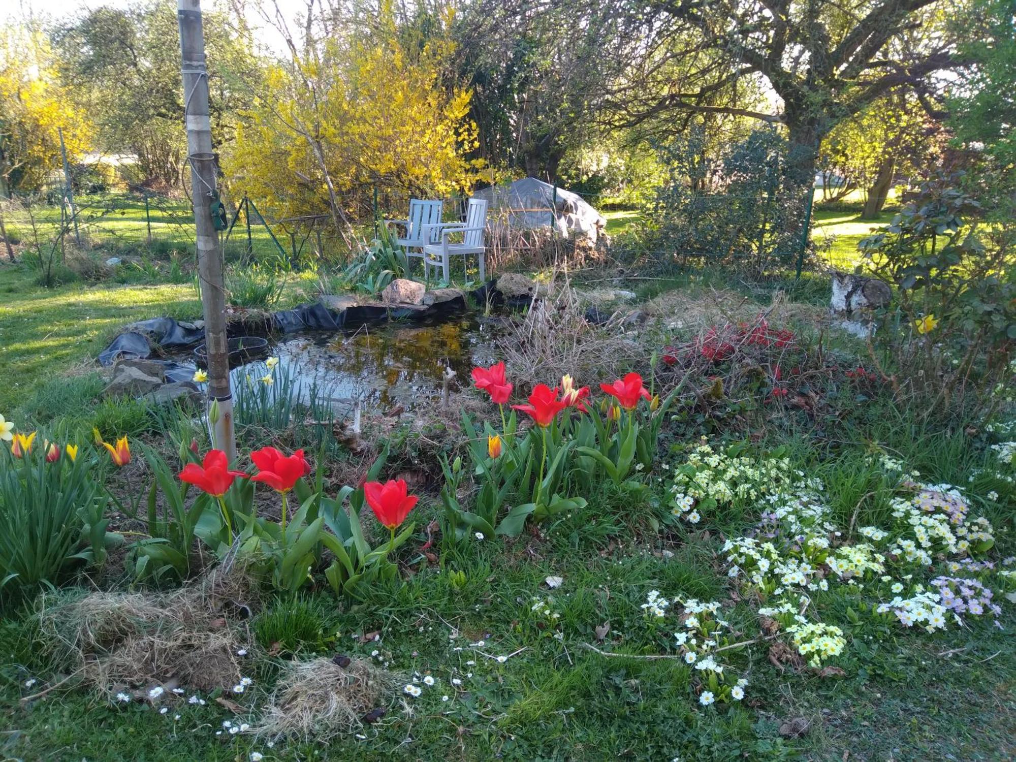Вилла Dinant La Bergeronnette Avec La Chaleur Du Feu De Bois Et Le Jardin Номер фото